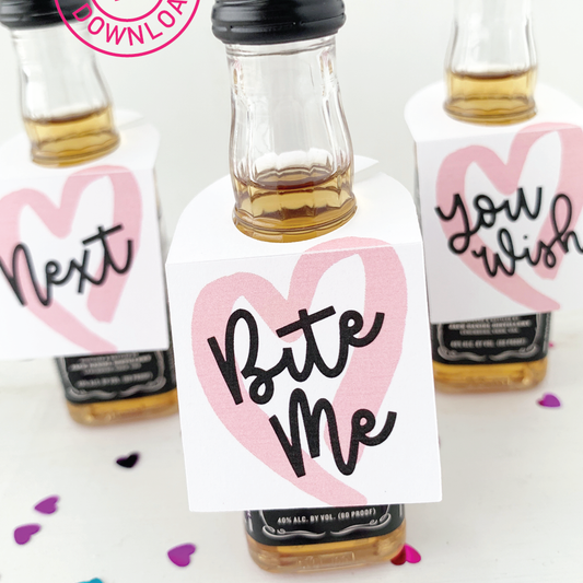 Fun Anti Valentines Day Mini Alcohol Tags