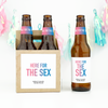 pink and blue gender reveal labels for beer bottles and 4pk bottle carrier