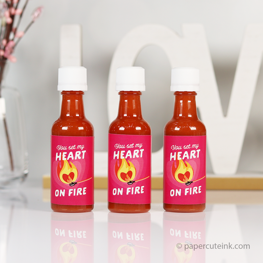 you set my heart on fire valentine day party mini hot sauce bottle favors